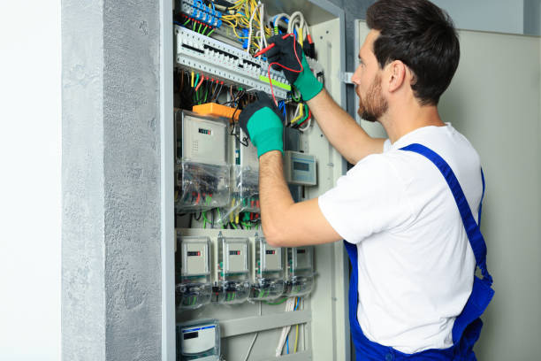 Best Electrician for Home Renovation  in Hudson, WI